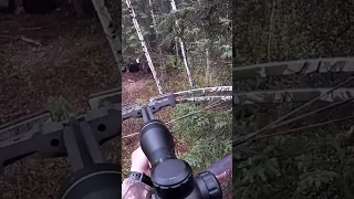 Bear vs Crossbow! | Spring Bear Hunting Manitoba 2023 (Watch the FULL HUNT on the Channel!)