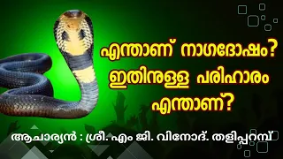 എന്താണ് നാഗദോഷം? ഇതിനുള്ള പരിഹാരം എന്താണ് ?