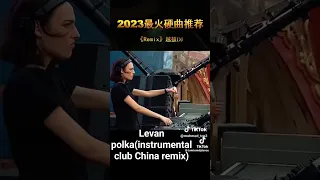 Levan polka(instrumental club China remix)