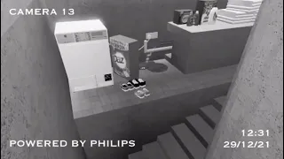 Roblox washing falls down cellar stairs