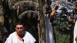 Maya Ritual To The Rain God At The Eco Museum Of Cocoa