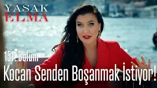 Kocan senden boşanmak istiyor! - Yasak Elma 151. Bölüm