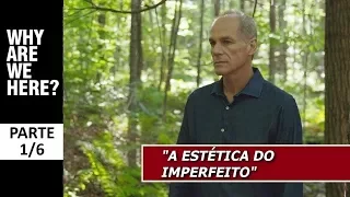 Marcelo Gleiser: "A Estética do Imperfeito" (PARTE 1/6)