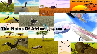 "The Plains Of Africa!" | Episode. 2 | - The birds of Africa