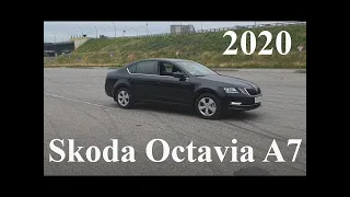 Обзор Skoda Octavia 2020 A7 Style 1.6. Это не Rapid