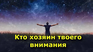 Кто хозяин твоего внимания