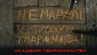 Академія тваринництва: Повстання корів/трейлер (2020)