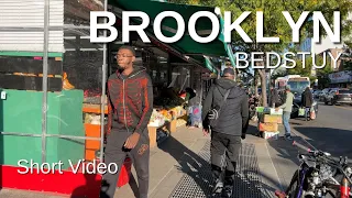 NEW YORK CITY Walking Tour [4K] - BROOKLYN - BEDSTUY (Short Video)