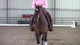 Richard Free Style Cowboy Dressage