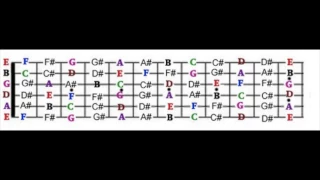 GUITAR FRETBOARD DIAGRAM -notes on the guitar -for  E tuned guitars