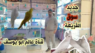 جديد عند عبد الغني سوق القريعة 🔥 نتعرف على اثمنه الطيور 🦜🕊️🦜