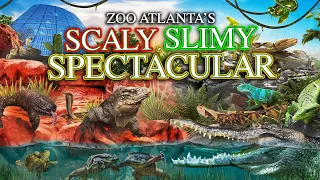 Zoo Tours: Scaly, Slimy, Spectacular | Zoo Atlanta
