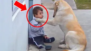 Paralyzed Child – Watch The Dog’s MIRACLE Act!