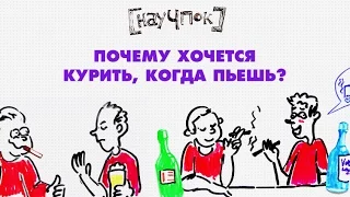 Почему хочется курить, когда пьешь? — Научпок