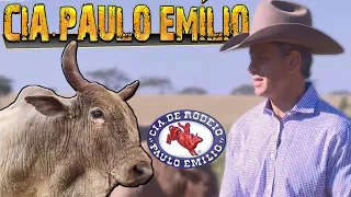 Especial Cia de Rodeio Paulo Emílio ║ Bipolar, Agressivo, Bandido 🐂