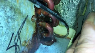 Service call found Lennox AC coil leaking in an odd spot