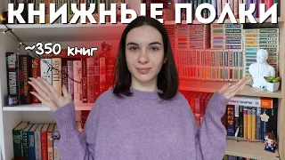 ВСЕ МОИ КНИЖНЫЕ ПОЛКИ 📚✨ Тур по книжным полкам 2024