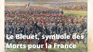 Bleuet de France, symbole des Morts pour la France - 11 Novembre