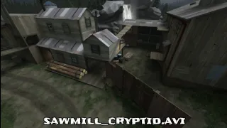 Sawmill_cryptid.avi