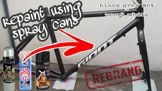 Bike Repaint Using Spray Cans Gun Metal Grey And White | Bosny + Samurai Paint