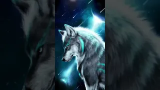 wolf wallpaper not mine free to use