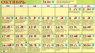 Календарь работ Виноградаря.[Работы в Октябре]