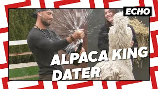 ALPACA KING på date!