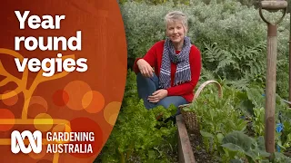 Vegetable crops that can be planted & harvested all year-round | Gardening 101 | Gardening Australia