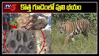 కొత్త గూడెంలో పులి భయం | Puli Halchal in Kothagudem, Telangana  | TV5 News