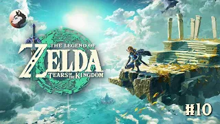 The Legend of Zelda: Tears of the Kingdom (Nintendo Switch) #10