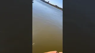 ВЫТАСКИВАЕТ ЗДАРОВЕНОВА КАРПА ИЗ КАРЯЖНИКА🎣🎣!!