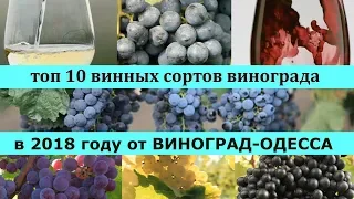 ТОП 10 ЛУЧШИХ ВИННЫХ СОРТОВ ВИНОГРАДА 2018 года ! ДАРИМ ПОДАРКИ В ВИДЕО! Лучшие винные сорта