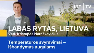 Temperatūros svyravimai – išbandymas augalams | Labas rytas, Lietuva | 2024-04-05