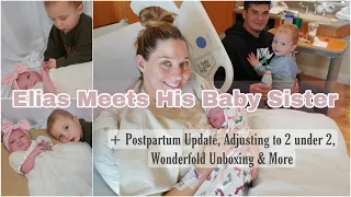 Elias Meets His Baby Sister + Bringing Her Home, Postpartum Update, Adjusting to 2 Under 2 & More