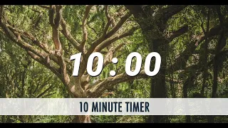 10 Minute Timer | A Day In The Forest | Bird Sound Alarm