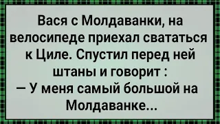 Вася с Молдаванки с Большим Хозяйством! Сборник Свежих Анекдотов! Юмор!