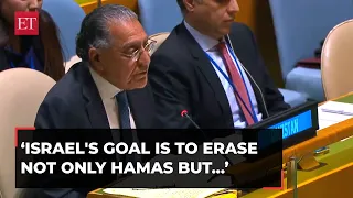 Israel's goal is to erase not only Hamas but also entire idea of Palestine: Pakistan's UN envoy