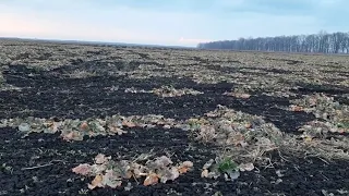 Страшний сон аграрія-посуха(((