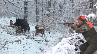 Hunting Serbia - Wild boar hunting | Lov divlje svinje lovište Ožalj Prijepolje |Caccia ai cinghiali