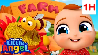 Baby John's Fantastic Farm Treat! | Animals for Kids | Funny Cartoons | Learn about Animals