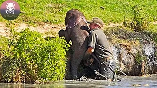 Man Saves Drowning Baby Elephant From Mud,Then She Does The Unexpected