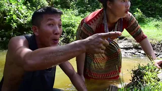 Survival Skills - A fish trap meets a large school of carp - Idyllic life in the rainforest