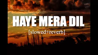 HAYE MERA DIL || SLOWED---REVERB----LOFI || MELODY PEACE ||