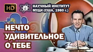 Нечто удивительное о тебе (1980) HD | Научный Институт МУДИ