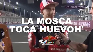 LA MOSCA ACOSTA || MOTOGPITO