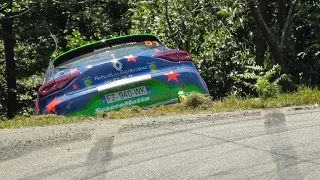 Rally Lana 2021 • Post crash, Action & Mistakes