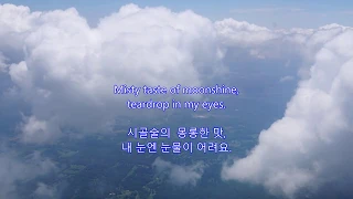 Take Me Home Country Road - John Denver || with lyrics (영어가사/한글번역)