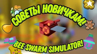 СОВЕТЫ ДЛЯ НОВИЧКОВ КАК НАЧАТЬ ПУТЬ К ПРО В ROBLOX BEE SWARM SIMULATOR