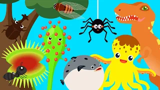 kids song collection carnivorous plants song [Nature Friend Song]