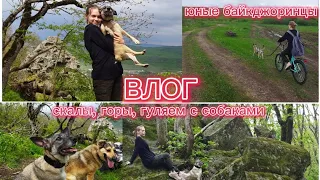 Влог | гуляем с собаками, лазаем по горам